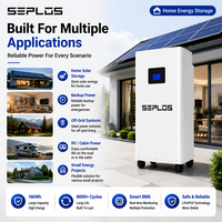 Batterie LiFePO4 Seplos Mason 51.2V 314Ah 16kWh pour stockage d'énergie domestique, stock UE, entrepôt Allemagne Pologne, livraison rapide, BMS 200A