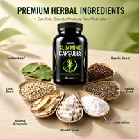 Capsule Minceur OEM avec Détox Minceur et Perte de Poids Naturelle à Base de Plantes pour Brûleur de Graisse, Capsules Brûle-Calories, Ventre Plat, Santé
