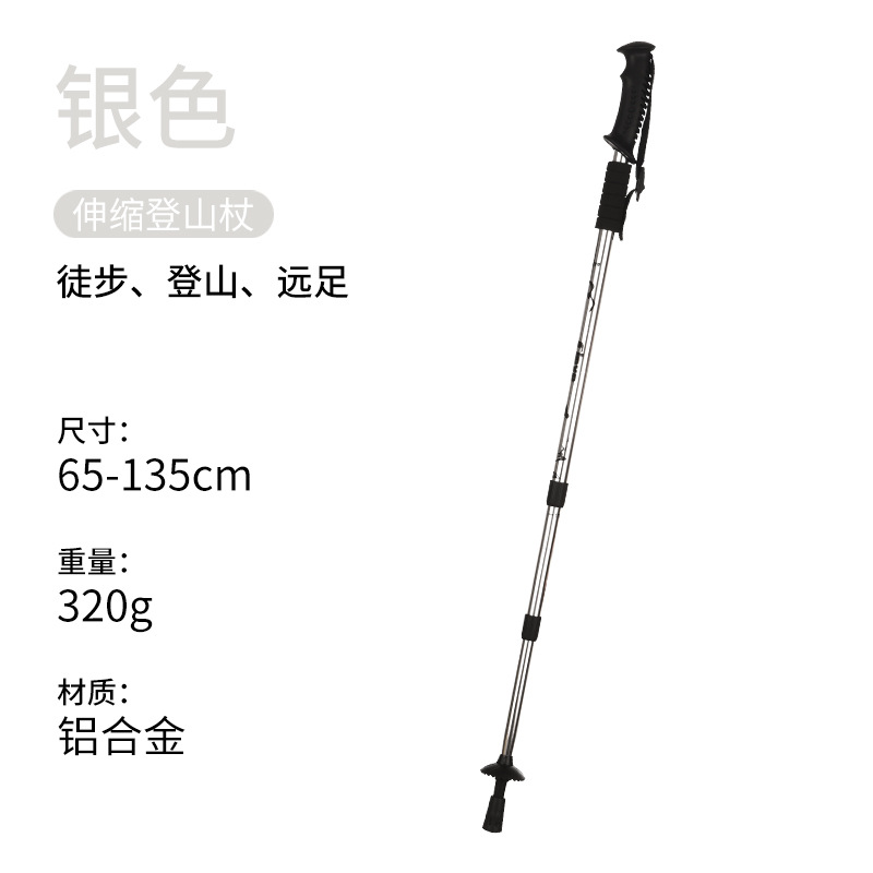 Straight Handle Silver
