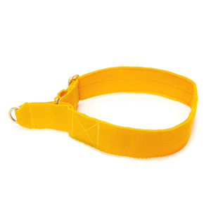 Fullto, duradero y elegante, correas personalizadas, collares para perros, <span class=keywords><strong>Collar</strong></span> de perro <span class=keywords><strong>Martingale</strong></span> ancho para entrenamiento - Product Image 2