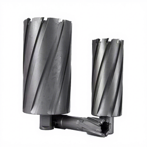 Taglierina universale del foro del TCT della taglierina <span class=keywords><strong>anulare</strong></span> dello stinco con il perno pilota - Product Image 4