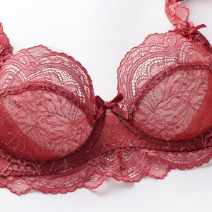 Ultra dünnes französisches Spitzen-BH-Set für Damen Low-Rise Wire-Free Anti-Sagging Lift Große Büste Minimizer Sexy Solid Breath able <span class=keywords><strong>Bikini</strong></span> - Product Image 4