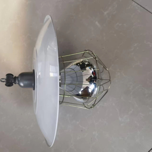 Ensemble de lampes d'isolation thermique infrarouge lointain <span class=keywords><strong>pour</strong></span> usage domestique, nouveau plastique 220v <span class=keywords><strong>pour</strong></span> les porcs et les poussins d'élevage, abat-jour chauffant 250 W - Product Image 5