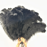 Plumes d'autruche noires à plumes complètes de 10 à 30 pouces, motif teint multicolore, pour décoration de carnaval, mariage, scène, costume