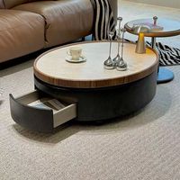 Table basse BANGCHI moderne de luxe léger, style discret, écologique, portable, avec plateau en marbre et rangement amovible pour salon