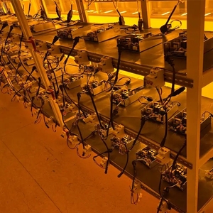 Balastro HID HPS Tipo U de <span class=keywords><strong>1000W</strong></span> <span class=keywords><strong>400V</strong></span> para Invernaderos Comerciales y Profesionales de 380V e Hidroponía en Rusia, América y Canadá - Product Image 5