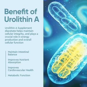 Cápsulas OEM de Urolithin A, Suplemento de Urolithin A, Cápsulas de Urolithin A, Distribuidores Mayoristas de Suplementos de Urolithin A - Product Image 3