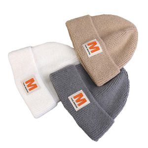 Automne et hiver cuir étiquette laine bonnet chapeaux Logo personnalisé acrylique tricoté chapeau automne chaud oreille lettre laboratoire - Product Image 1