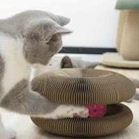 Jouet accordéon pour chat, griffoir avec circuit de balles, jouet d'intelligence et d'exercice amusant pour chatons, griffoir magique pour chat