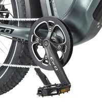 Vélo électrique X1 750W Moto Electrica E-bike 52v Vélo électrique en acier USA Fatbike 45km/h