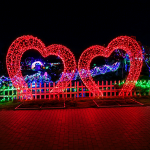 ไฟประดับรูปหัวใจ LED สำหรับตกแต่งงานกลางแจ้ง ขายส่ง เหมาะสำหรับงานอีเว้นท์ - Product Image 1