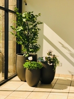 Ronglin YC-0066 Pots de plantes en béton GRC faits à la main Grand 55-81cm Léger Durable Texture personnalisable pour pots de fleurs Jardinières