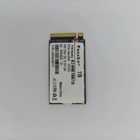 Hard drive M2 pendek M.2 GEN3 NVME PCIE 2242 1TB SSD