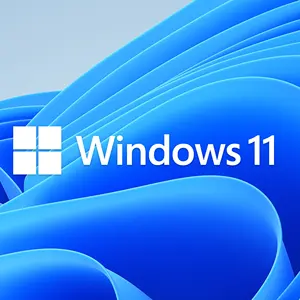 Windows 11 Pro Digitaler Schlüssel code, Lieferung per E-Mail, Win 11 Pro