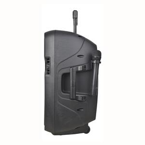 Loa di động RQSONIC PML08AHV 8 inch 40W, sử dụng pin sạc, tích hợp micro, dùng ngoài trời - Product Image 5