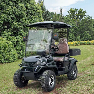 Voiturette de golf électrique personnalisée à 2 places, véhicule utilitaire électrique pour le transport familial et agricole sur routes non publiques - Product Image 1
