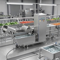 Productielijn voor het reinigen van lychee fruit en groenten