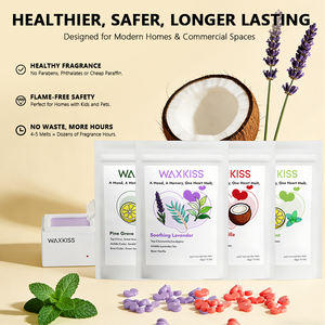 เทียนหอมถั่วเหลืองพรีเมียมขายส่ง ไม่มีพาราฟินราคาถูก กลิ่นหอมหลากหลาย บรรจุภัณฑ์แบบกำหนดเองสำหรับร้านค้าปลีก - Product Image 3