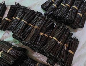 Vainas de Vainilla Secas al Sol de 18 cm, Grado Premium, Flexibles, para Helados y Repostería - Product Image 3