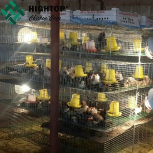 Ferme avicole bébé <span class=keywords><strong>poussin</strong></span> <span class=keywords><strong>couveuse</strong></span> cage/jour vieille cage de poulet à vendre - Product Image 3