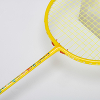 Raqueta de Fibra de Vidrio y Aluminio para Entrenamiento Amateur, Marco Rígido Integrado, Alta Elasticidad, Duradera y Fácil de Usar