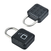 Cadenas intelligent avec code d'accès par empreinte digitale, candados inteligentes con huella dactilar, acier inoxydable et laiton, types de portes