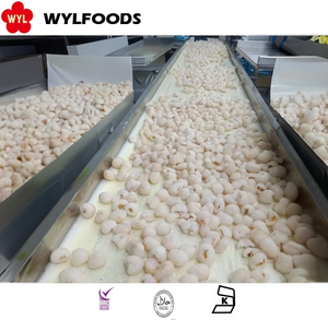 Bán nóng iqf vải thiều đông lạnh toàn bộ chưa gọt vỏ với trái cây đông lạnh - Product Image 5