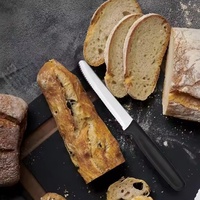 Vente en gros 6pc Set Western Steak Pain Dentelé Toast Couteau En Acier Utilitaire Chef PP Poignée pour Restaurant Hôtel Utilisation JYTD0186