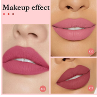 Marque privée 18 couleurs Gloss à lèvres mat hydratant longue durée Mini capsule Maquillage pour gloss à lèvres Rhod