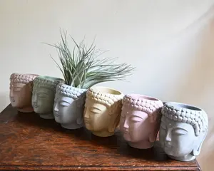 Buddha Head Planter, kleiner Blumentopf, konkreter saftiger Gesichts pflanzer,