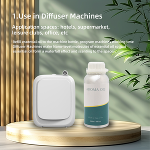 Vente en gros Nouveau diffuseur d'arômes d'hôtel d'une capacité de 500ml Huile parfumée Huile parfumée pour diffuseur d'arômes - Product Image 6