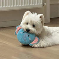 Jouet en peluche de luxe mignon pour chien, motif éléphant/lion, résistant aux morsures, pour le nettoyage des dents, l'entraînement et l'animation sonore