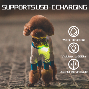 <span class=keywords><strong>Collar</strong></span> <span class=keywords><strong>LED</strong></span> Lararoo Hazelnut para Mascotas - Luz de Seguridad Nocturna Recargable para Perros y Gatos, <span class=keywords><strong>Collar</strong></span> Luminoso Antipérdida para Paseos Nocturnos - Product Image 2