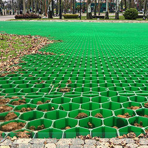 <span class=keywords><strong>Grille</strong></span> <span class=keywords><strong>de</strong></span> pavage en plastique Taurus OEM ODM pour le contrôle <span class=keywords><strong>de</strong></span> la boue, renforcement des pelouses et des parkings extérieurs - Product Image 5