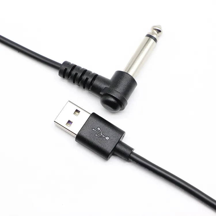 6.35Mm Audio Mannelijke Mono Aux Audio Plug Jack Naar Usb 2.0 Female Converter Kabel