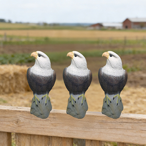 Modelo de águila de plástico hecho a medida para fábrica, adecuado para <span class=keywords><strong>la</strong></span> caza al aire libre y también utilizado como herramienta para ahuyentar aves - Product Image 3