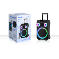 Enceinte Bluetooth avec Micro Sans Fil, Lampe d'Ambiance Colorée, Haut-Parleur Karaoké avec Micro et Bluetooth
