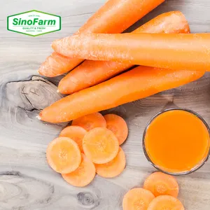 2023 New Crop Chinese Fresh Carrot with GAP certificate Qingdao /Xiamen/Shenzhen port