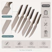 Ensemble de couteaux de Chef, couverts de cuisine revêtu de haute qualité couteau de Chef en acier inoxydable, ensemble de couteaux de cuisine de 6 pièces