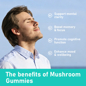 High Quality Mushroom Gummies 10 In 1 Blend for Adults Brain Mood Cognitive Health Mushroom Mood Relaxation Lions Mushroom - Product Image 5
