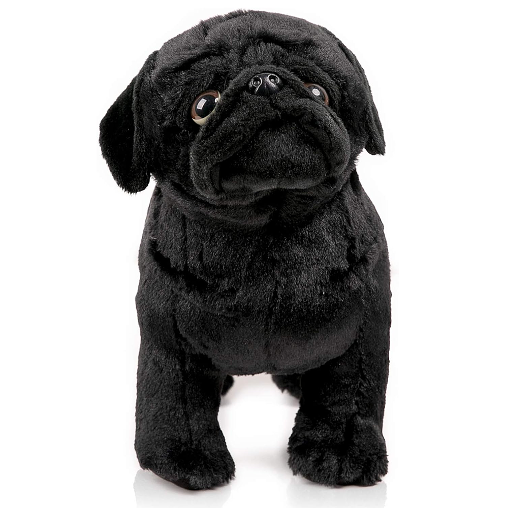 Negro