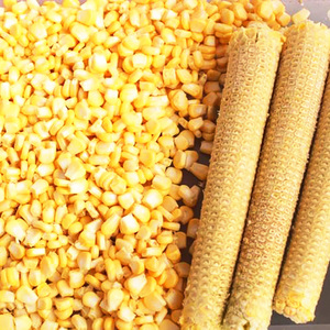 Maize Harvester <strong>Corn</strong> Sheller <strong>Pilling</strong> <strong>Machine</strong> New Design with Conveyer for Sale - Product Image 2