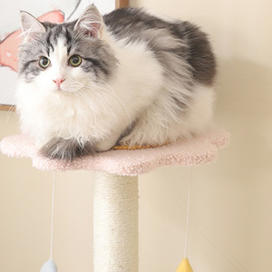 <b>Cat</b> <b>Tree</b> With <b>Scratching</b> <b>Post</b> And Bed Mini Size For Indoor <b>Cats</b> All Season Use - Product Image 4