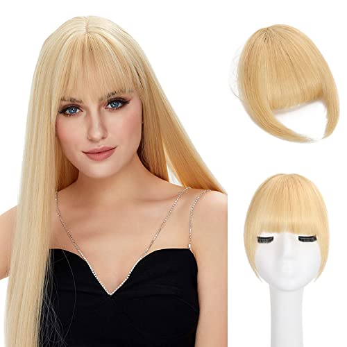 Ash Blonde(8g)