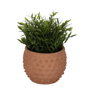 Pot de fleurs rond texturé en terre cuite pour la décoration des plantes d'intérieur et d'extérieur - Product Image 2