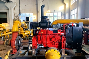 Pompe à incendie extérieure automatique à moteur en fonte à haute pression, ensemble de pompes à incendie en stock XBC avec moteur magnétique - Product Image 4