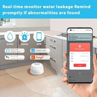 Détecteur de fuite d'eau intelligent Tuya Zigbee, détecteur d'inondation, alarme d'immersion, Alexa, hub Tuya requis