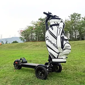 חדש כניסות גולף קטנוע מתקפל 1200W גולף רכב Cycleboard באגי Caddy עגלת עגלת שרות חשמלי עגלת גולף