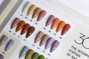 Nouvelle Collection <span class=keywords><strong>Automne</strong></span> 2026 – Vernis à Ongles Gel UV/LED Soak Off Professionnel pour Salon – Couleurs Automnales pour <span class=keywords><strong>Nail</strong></span> <span class=keywords><strong>Art</strong></span> - Product Image 6