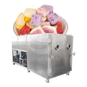ORME Liofilizador Miel Leche Café instantáneo Equipo de liofilización Precio Liofilizador Casero Machine Uk - Product Image 1